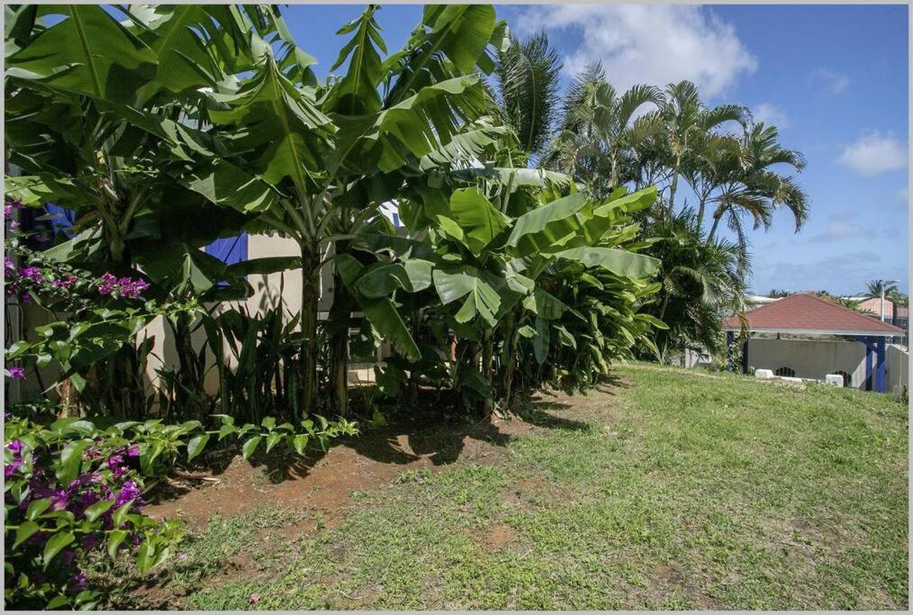 סנט-לוס Villa Mango 150 Metres Plage A Pied מראה חיצוני תמונה