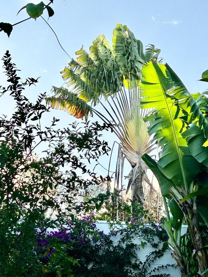 סנט-לוס Villa Mango 150 Metres Plage A Pied מראה חיצוני תמונה